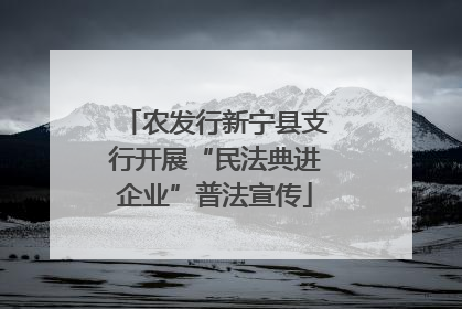农发行新宁县支行开展“民法典进企业”普法宣传