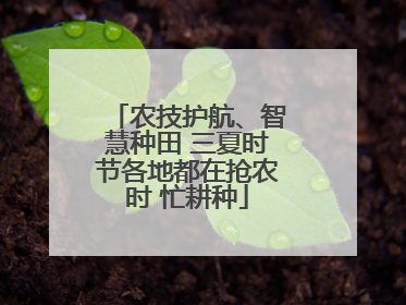 农技护航、智慧种田 三夏时节各地都在抢农时 忙耕种
