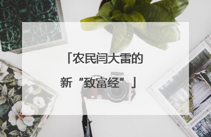 农民闫大雷的新“致富经”