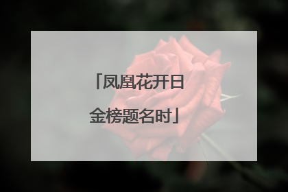 凤凰花开日 金榜题名时