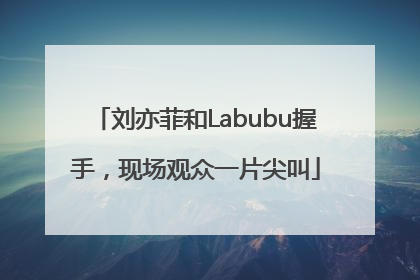 刘亦菲和Labubu握手，现场观众一片尖叫