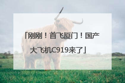 刚刚！首飞厦门！国产大飞机C919来了