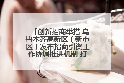 创新招商举措 乌鲁木齐高新区（新市区）发布招商引资工作协调推进机制 打造投资发展新高地