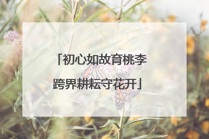 初心如故育桃李 跨界耕耘守花开