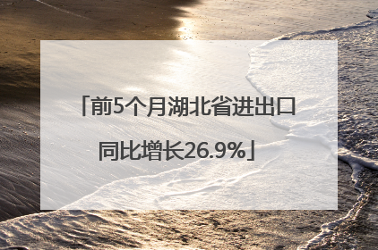 前5个月湖北省进出口同比增长26.9%
