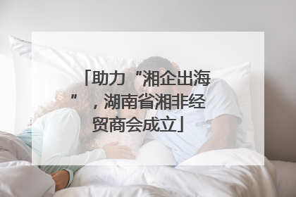 助力“湘企出海”，湖南省湘非经贸商会成立