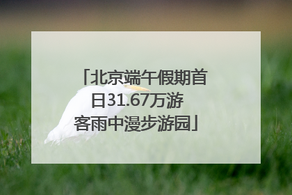 北京端午假期首日31.67万游客雨中漫步游园