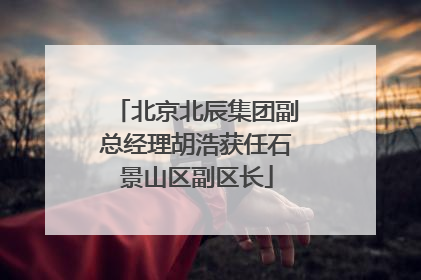 北京北辰集团副总经理胡浩获任石景山区副区长