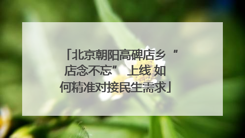 北京朝阳高碑店乡“店念不忘” 上线 如何精准对接民生需求