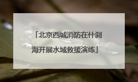 北京西城消防在什刹海开展水域救援演练