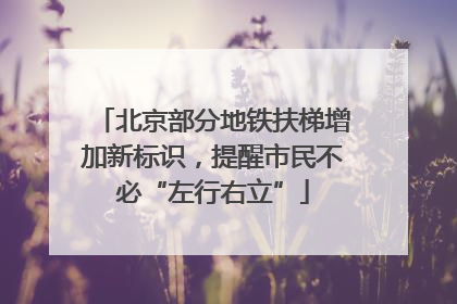 北京部分地铁扶梯增加新标识，提醒市民不必“左行右立”