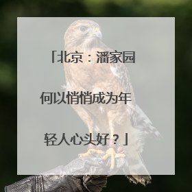 北京：潘家园何以悄悄成为年轻人心头好？