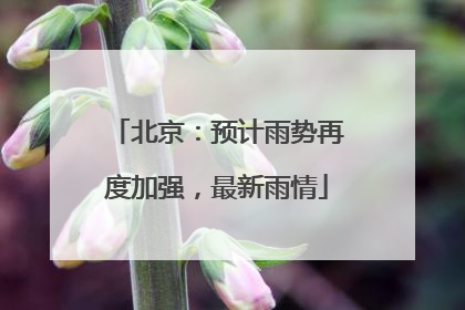 北京：预计雨势再度加强，最新雨情