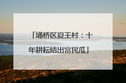 埇桥区夏王村：十年耕耘结出富民瓜