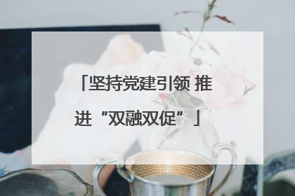 坚持党建引领 推进“双融双促”