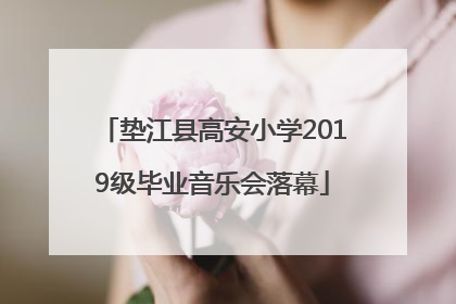 垫江县高安小学2019级毕业音乐会落幕