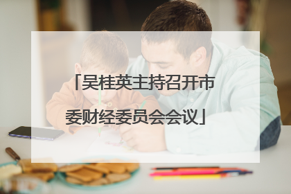 吴桂英主持召开市委财经委员会会议