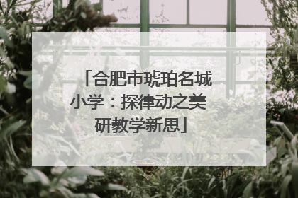 合肥市琥珀名城小学：探律动之美 研教学新思