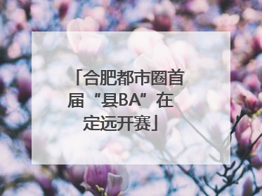 合肥都市圈首届“县BA”在定远开赛