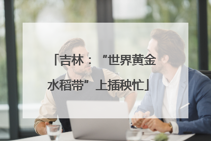 吉林：“世界黄金水稻带”上插秧忙