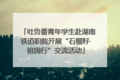 吐鲁番青年学生赴湖南铁道职院开展“石榴籽·祖国行”交流活动