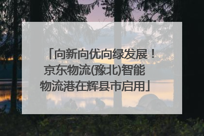 向新向优向绿发展！京东物流(豫北)智能物流港在辉县市启用