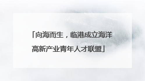 向海而生，临港成立海洋高新产业青年人才联盟