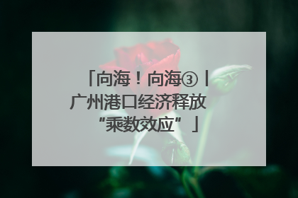 向海！向海③丨广州港口经济释放“乘数效应”