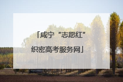 咸宁“志愿红”织密高考服务网