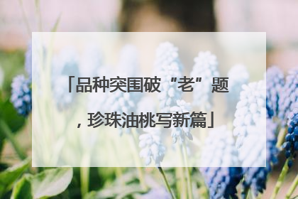 品种突围破“老”题，珍珠油桃写新篇