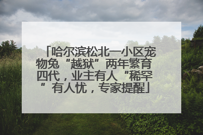 哈尔滨松北一小区宠物兔“越狱”两年繁育四代，业主有人“稀罕”有人忧，专家提醒