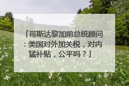 哥斯达黎加前总统顾问：美国对外加关税，对内猛补贴，公平吗？
