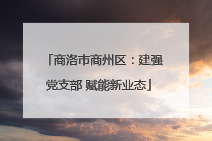 商洛市商州区：建强党支部 赋能新业态