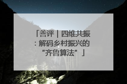 善评｜四维共振：解码乡村振兴的“齐鲁算法”