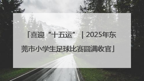 喜迎“十五运”｜2025年东莞市小学生足球比赛圆满收官