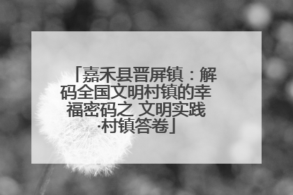 嘉禾县晋屏镇：解码全国文明村镇的幸福密码之 文明实践·村镇答卷