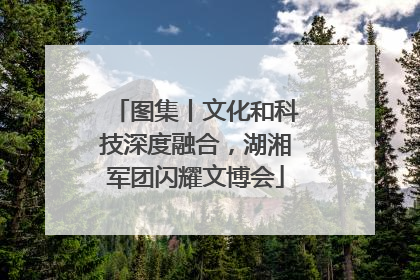 图集丨文化和科技深度融合，湖湘军团闪耀文博会