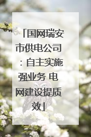 国网瑞安市供电公司：自主实施强业务 电网建设提质效