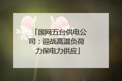国网五台供电公司：迎战高温负荷 力保电力供应