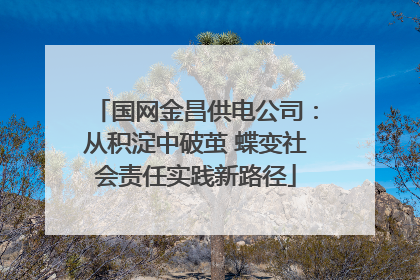 国网金昌供电公司：从积淀中破茧 蝶变社会责任实践新路径