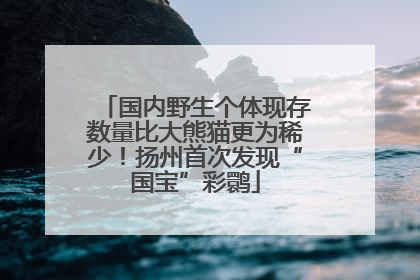 国内野生个体现存数量比大熊猫更为稀少！扬州首次发现“国宝”彩鹮