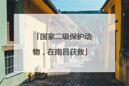 国家二级保护动物，在南昌获救
