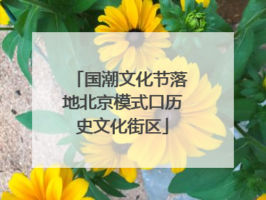 国潮文化节落地北京模式口历史文化街区