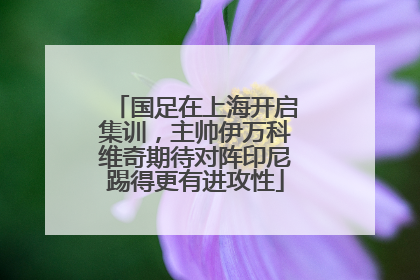 国足在上海开启集训，主帅伊万科维奇期待对阵印尼踢得更有进攻性