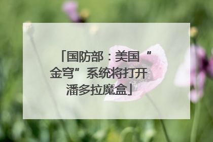 国防部：美国“金穹”系统将打开潘多拉魔盒