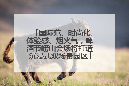 国际范、时尚化、体验感、烟火气，啤酒节崂山会场将打造沉浸式双场景园区