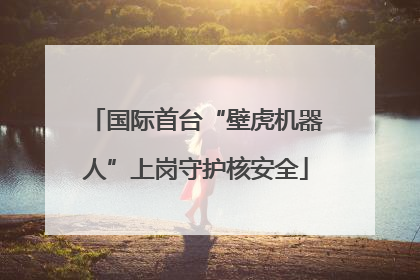 国际首台“壁虎机器人”上岗守护核安全