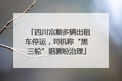 四川富顺多辆出租车停运，司机称“黑三轮”猖獗盼治理
