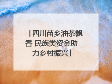 四川苗乡油茶飘香 民族类资金助力乡村振兴