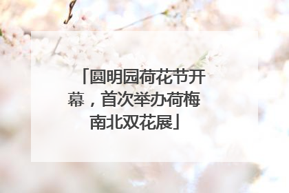 圆明园荷花节开幕，首次举办荷梅南北双花展